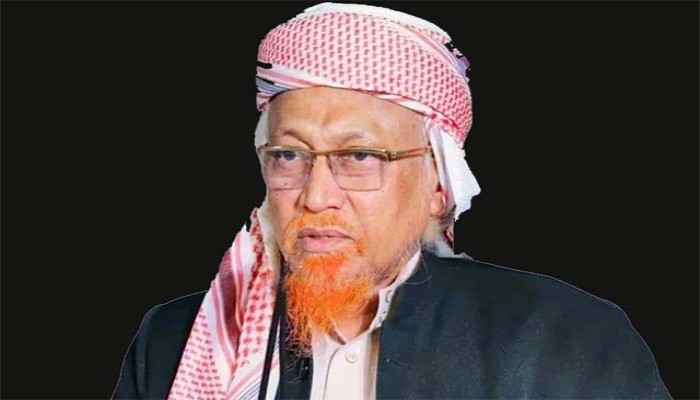 বিএনপি আমার সঙ্গে মুনাফেকি করেছে : জুনায়েদ আল হাবিব