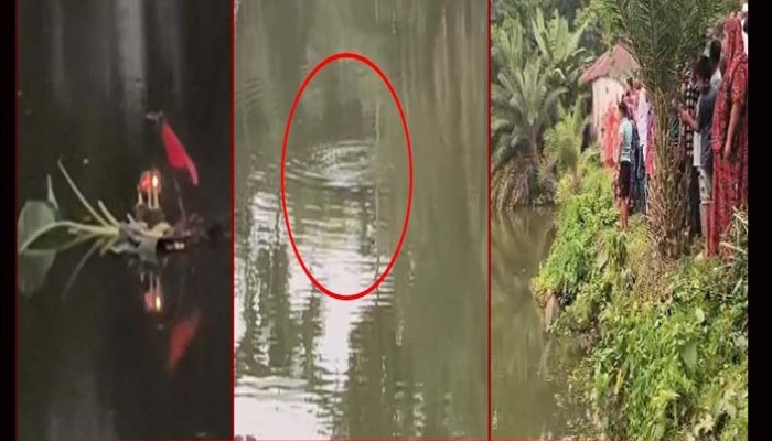 জলপরী’ দেখতে পাঁচ দিন ধরে পুরনো পুকুরে ভিড়, জাল ফেলে মিলল সিলভার কার্প