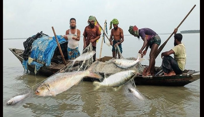 মা ইলিশ রক্ষায় সাগর-নদীতে ২২ দিনের নিষেধাজ্ঞা শুরু