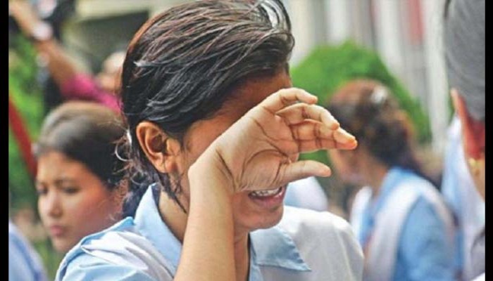 এইচএসসিতে ২৯৩ প্রতিষ্ঠানে পাশ করেনি কেউ