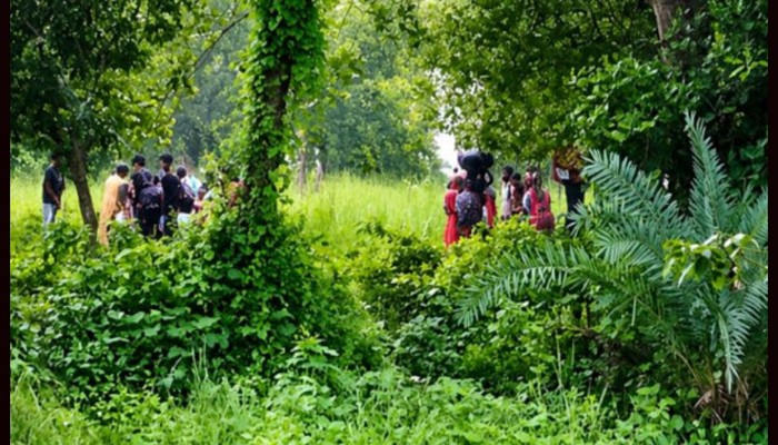সীমান্তে পুশইনের চেষ্টা বিএসএফের, শূন্যরেখায় ২৮ জন