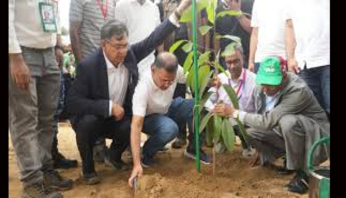 দেশব্যাপী ২৫ কোটি বৃক্ষরোপণ কর্মসূচি উদ্বোধন প্রধানমন্ত্রীর