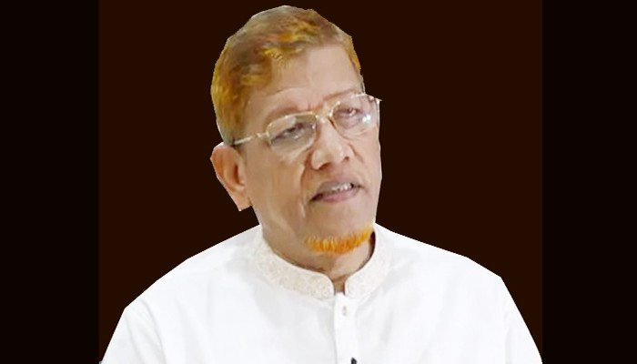 বিচারপ্রক্রিয়া শিথিলতায় ফ্যাসিবাদের উত্থানের পদধ্বনি শোনা যাচ্ছে : হামিদুর রহমান