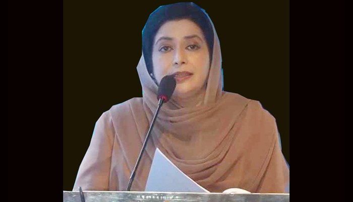 স্বাস্থ্যসেবা কোনো বিশেষ সুবিধা নয়,মৌলিক অধিকার: জুবাইদা রহমান