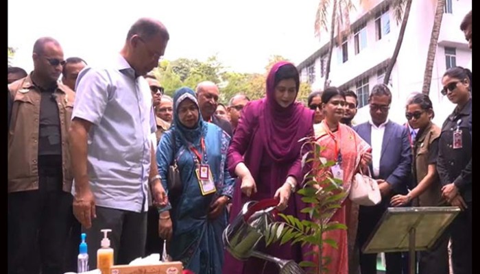 ঢাকা মেডিকেলের ৮১ তম প্রতিষ্ঠাবার্ষিকীতে অনুষ্ঠানে প্রধানমন্ত্রী, বৃক্ষরোপণ কর্মসূচি উদ্বোধন