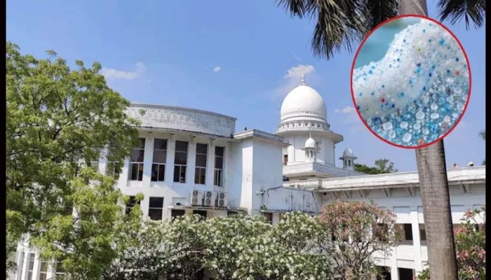২৬ টুথপেস্টে মাইক্রোপ্লাস্টিক: বিশেষজ্ঞ কমিটি গঠনে হাইকোর্টের নির্দেশ
