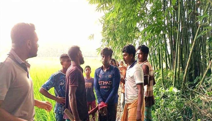 মাকে হত্যার অভিযোগ ছেলের বিরুদ্ধে