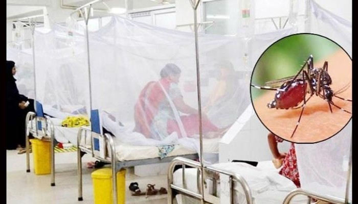 ডেঙ্গুতে ২৪ ঘণ্টায় ৮ মৃত্যু